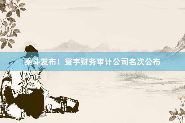 泰斗发布！寰宇财务审计公司名次公布